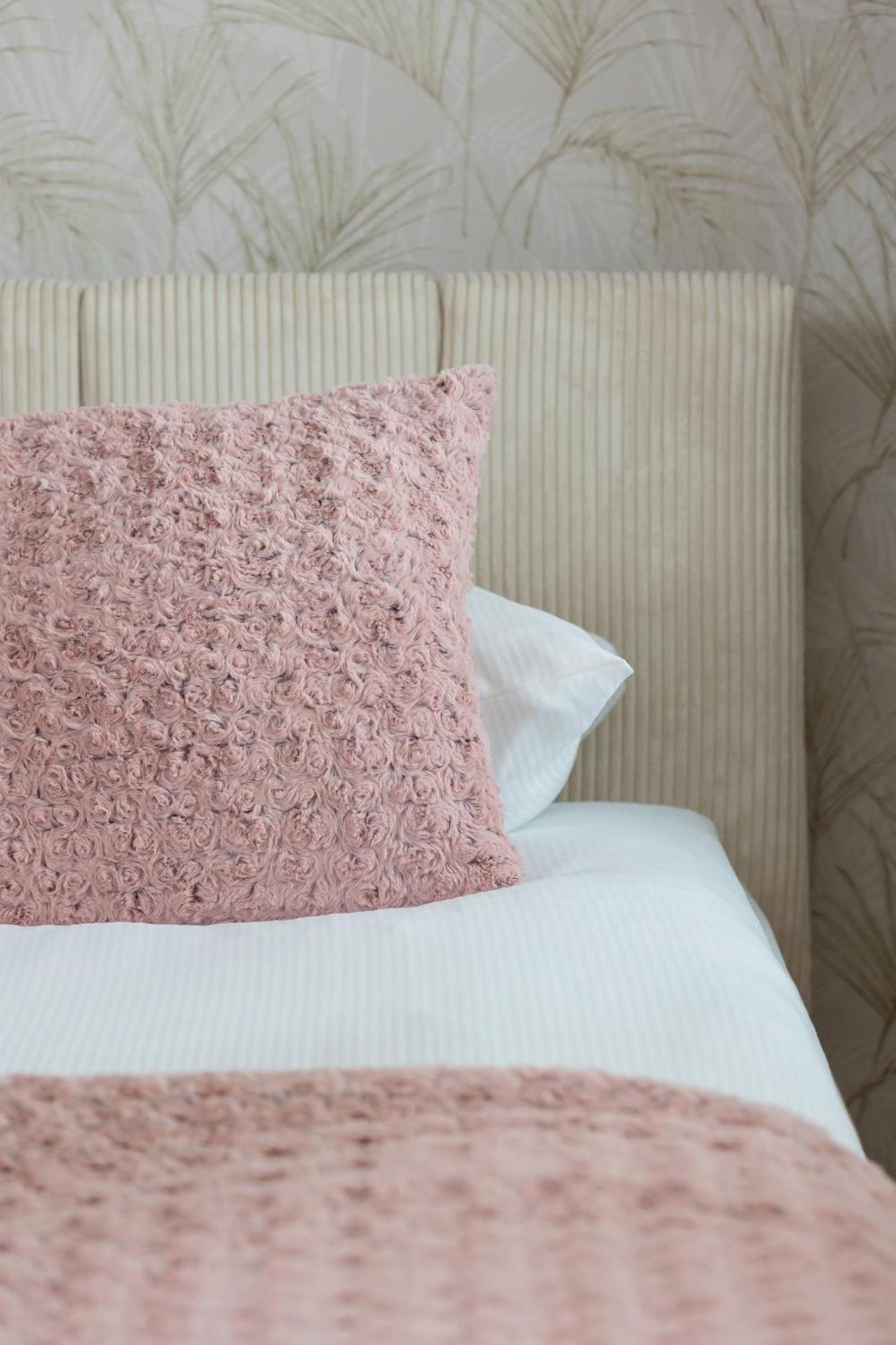 Pink & Blue Cozy In By Renters Krakau